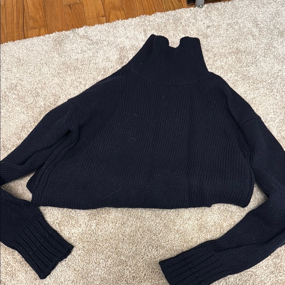 Everlane Blue Cowl Turtleneck Sweater